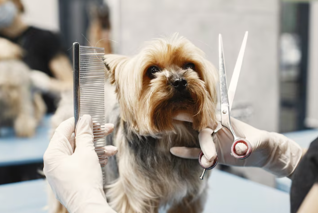 Pet Gromming Tools